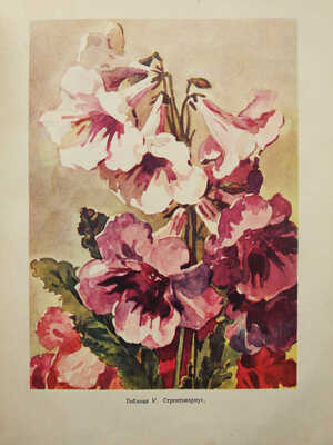 Комнатное садоводство / Ред. Киселёв Г. М., 1956.